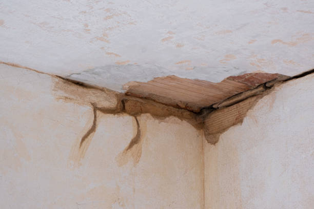 Best Flood damage cleanup  in Nneconne, WI