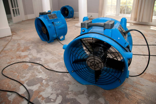 Best Water damage restoration near me  in Nneconne, WI
